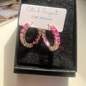 Gorgeous new earrings